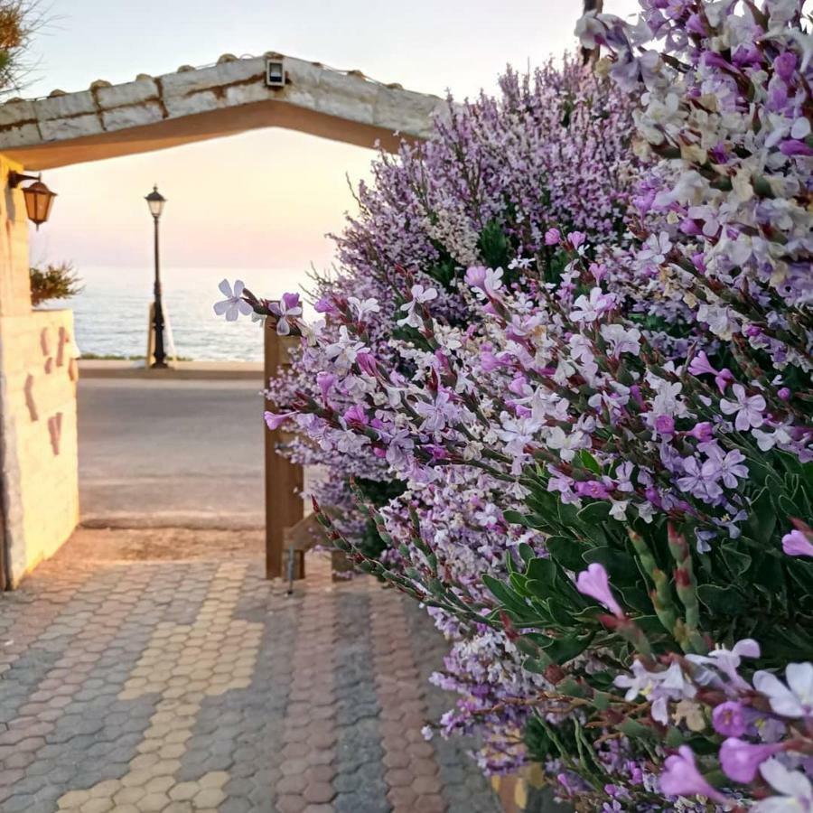 Georgia Seaside Villa ヘルソニソス エクステリア 写真
